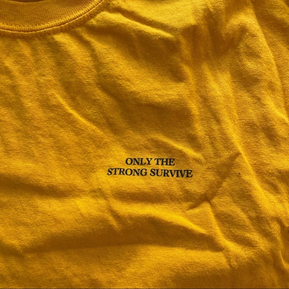 Crop-tops - Picture 4 of 5